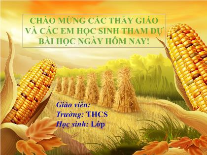 Bài giảng Toán 6 (Kết nối tri thức) - Tiết 57+58, Bài 22: Hình có tâm đối xứng