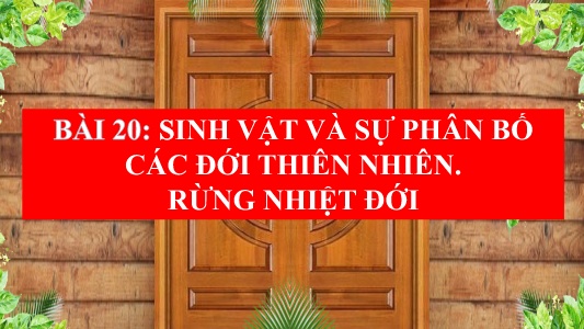 Bài giảng Địa lí 6 (Chân trời sáng tạo) - Bài 20: Sinh vật và sự phát triển các đới thiên nhiên. Rừng nhiệt đới - Trường THCS Trần Văn Ơn
