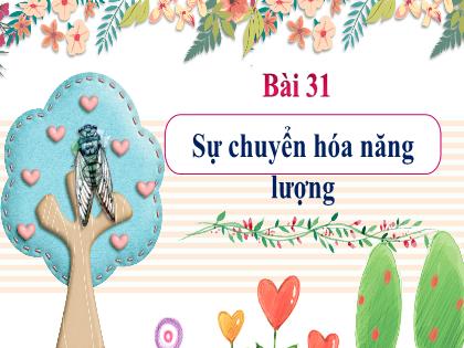 Bài giảng Khoa học tự nhiên 6 - Bài 31: Sự chuyển hóa năng lượng - Trường THCS Nam Hải