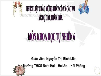 Bài giảng Khoa học tự nhiên 6 (Cánh diều) - Bài 23: Đa dạng động vật có xương sống (Tiết 1) - Nguyễn Thị Bích Liên