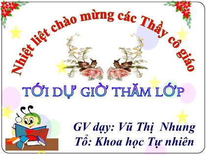 Bài giảng Khoa học tự nhiên 6 (Cánh diều) - Phần 3 - Bài 19: Đa dạng thực vật - Trường THCS Nam Hải