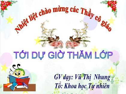 Bài giảng Khoa học tự nhiên 6 (Cánh diều) - Tiết 18+19 - Bài 5: Sự đa dạng của chất - Vũ Thị Nhung