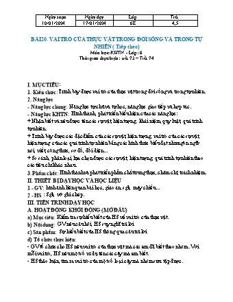 Bài giảng Khoa học tự nhiên 6 (Kết nối tri thức) - Bài 20: Vai trò của thực vật trong đời sống và trong tự nhiên - Trường THCS Nguyễn Chuyên Mỹ