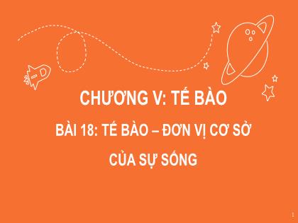 Bài giảng Khoa học tự nhiên 6 (Kết nối tri thức) - Chương 4 - Bài 18: Tế báo, đơn vị cơ sở của sự sống - Trường THCS Vạn Sơn