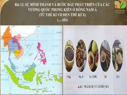 Bài giảng Lịch sử và Địa lí 6 (Kết nối tri thức) - Bài 12: Sự hình thành và bước đầu phát triển của các vương quốc phong kiến ở Đông Nam Á (Từ thế kỉ VII đến thế kỉ X) - Trường THCS Nguyễn Chuyên Mỹ