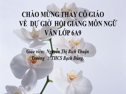 Bài giảng Ngữ văn 6 - Tiết 40: Viết bài văn kể lại một trải nghiệm của em - Nguyễn Thị Bích Thuận