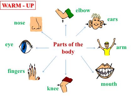 Bài giảng Tiếng Anh 6 (Global Success) - Unit 3: My friends - Lesson 3 - Trường THCS Trần Văn Ơn