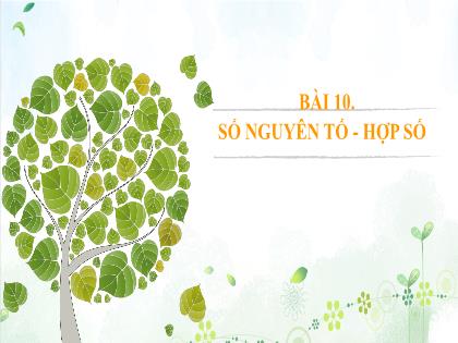 Bài giảng Toán 6 (Cánh diều) - Bài 10: Số nguyên tố, hợp số - Trường THCS Nguyễn Chuyên Mỹ