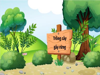 Bài giảng Toán 6 (Cánh diều) - Tuần 18 - Bài tập cuối chương 3 (Tiết 1) - Trường THCS Nguyễn Chuyên Mỹ