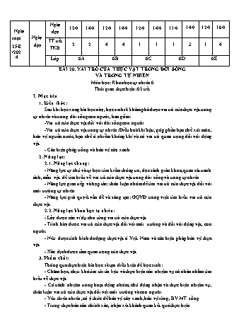 Giáo án Khoa học tự nhiên 6 (Kết nối tri thức) - Bài 20: Vai trò của thực vật trong đời sống - Năm học 2024-2025 - Trường THCS Nguyễn Chuyên Mỹ