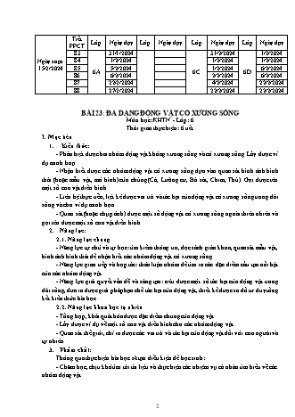 Giáo án Khoa học tự nhiên 6 (Kết nối tri thức) - Bài 23: Đa dạng động vật có xương sống - Năm học 2024-2025 - Trường THCS Nguyễn Chuyên Mỹ