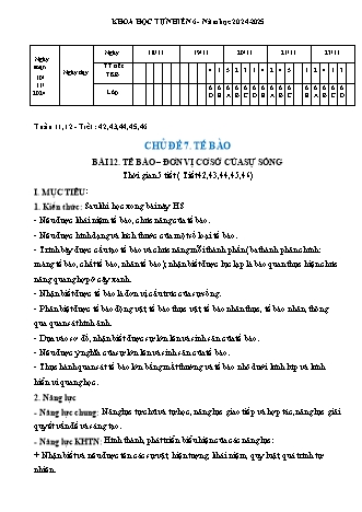 Giáo án Khoa học tự nhiên 6 (Kết nối tri thức) - Chủ đề 7 - Bài 12: Tế bào, đơn vị cơ sở của sự sống - Năm học 2024-2025 - Trường THCS Nguyễn Chuyên Mỹ
