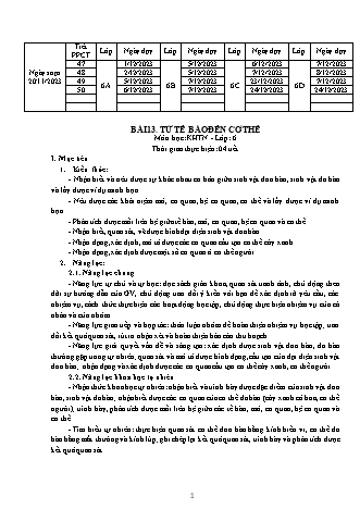 Giáo án Khoa học tự nhiên 6 (Kết nối tri thức) - Phần 3 - Bài 13: Từ tế bào đến cơ thể - Nguyễn Chuyên Mỹ